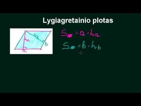 Lygiagretainio plotas
