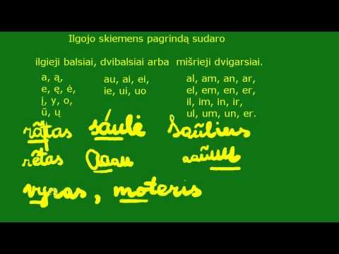 Ilgojo skiemens kirčiavimas. Priegaidės