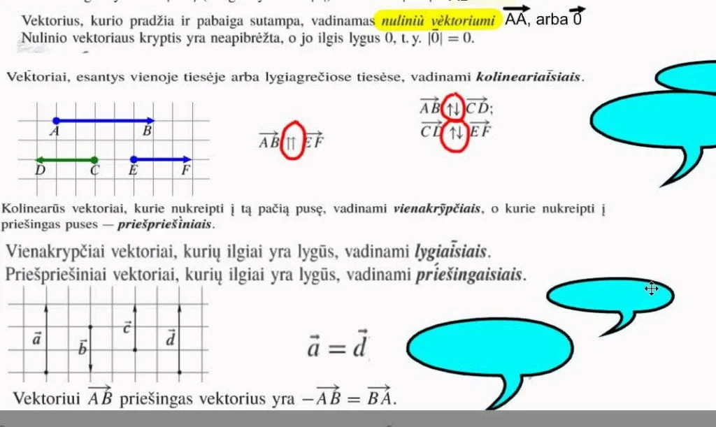 Ką vadiname vektoriumi