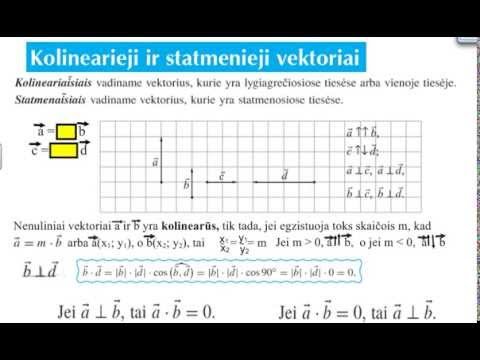 Kolinearieji ir statmenieji vektoriai