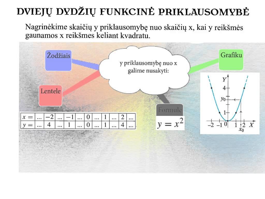 Dviejų dydžių funkcinė priklausomybė. Teorija.