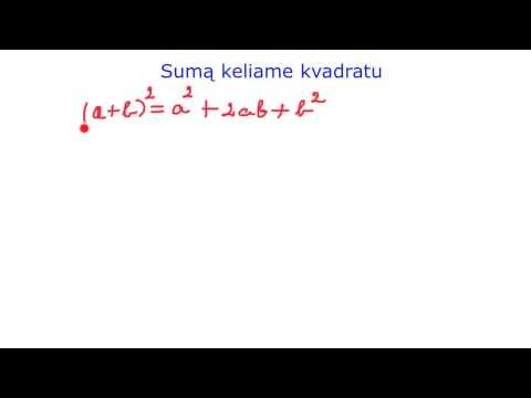 Reiškiniai. 8 klasės kurso kartojimas