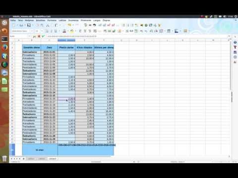 Skaičiuoklė. Funkcija SUM. 8 dalis.
